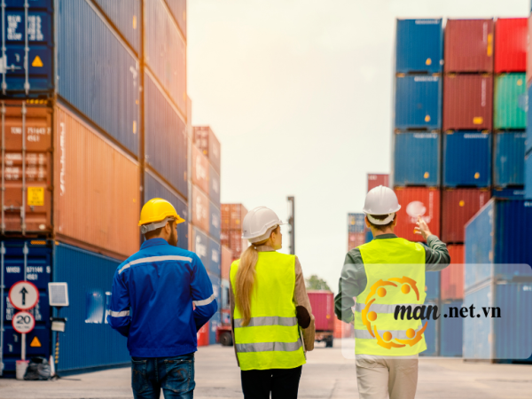 Nhập khẩu hàng hóa áp dụng thuế suất GTGT 8% phải khai mã VB215 trên tờ khai