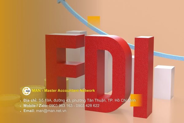 Kiểm toán FDI tại Việt Nam báo cáo tài chính và chuyển giá