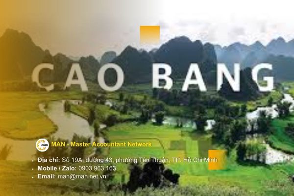 Dịch vụ kiểm toán Cao Bằng: Giải pháp nâng cao minh bạch và hiệu quả Quản lý