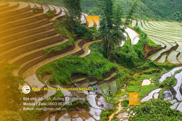 Dịch vụ kiểm toán Lào Cai chuyên nghiệp: Giải pháp cho sự phát triển bền vững