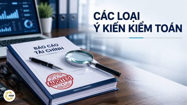 Các loại ý kiến kiểm toán là gì? Phân biệt 4 loại và ví dụ thực tế