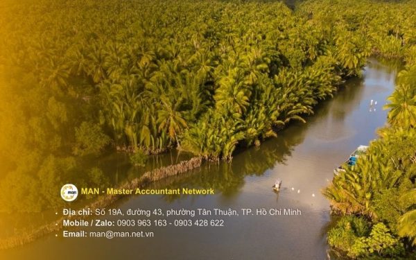 Dịch vụ kiểm toán Bến Tre trọn gói và chuyên sâu