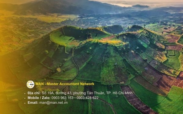 Dịch vụ kiểm toán Gia Lai uy tín cho doanh nghiệp