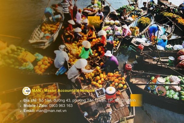 Dịch kiểm toán tại Tiền Giang uy tín, chuyên nghiệp 2026