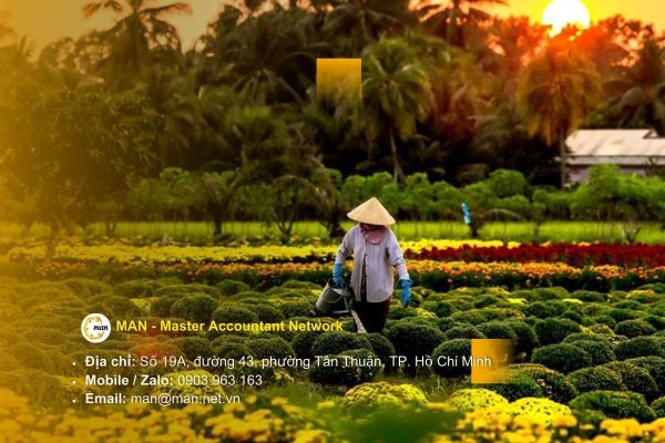 Dịch vụ kiểm toán tại Cao Lãnh uy tín, chuyên nghiệp