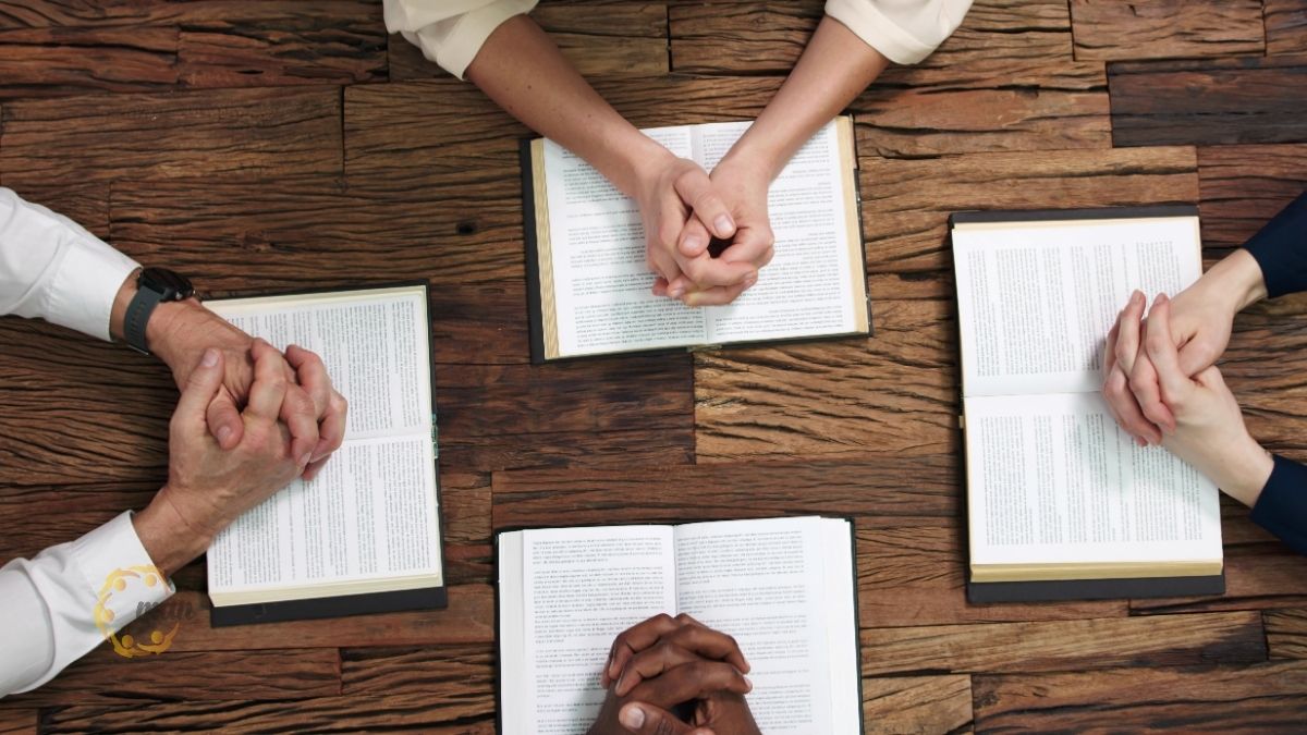 Đối tượng áp dụng sự khác biệt giữa kiểm toán và soát xét báo cáo tài chính theo luật mới