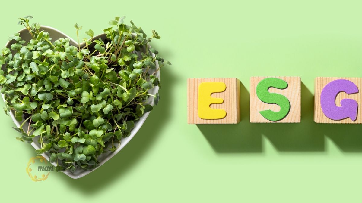 Những lợi ích chiến lược khi sử dụng dịch vụ kiểm toán môi trường