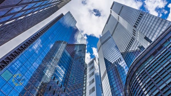 Tư vấn nên chọn công ty kiểm toán Big4 hay công ty trong nước chuyên nghiệp