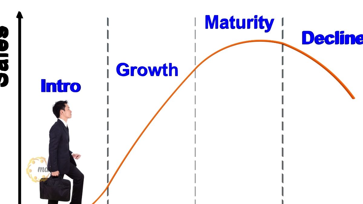 Quy trình triển khai dịch vụ kiểm toán M&A chuyên nghiệp tại MAN