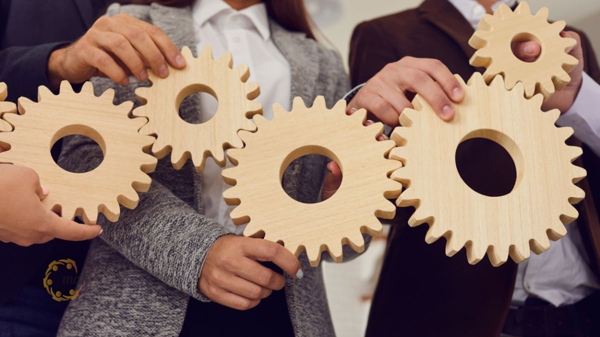 Các bước thực hiện dịch vụ kiểm toán chuyên nghiệp cho doanh nghiệp