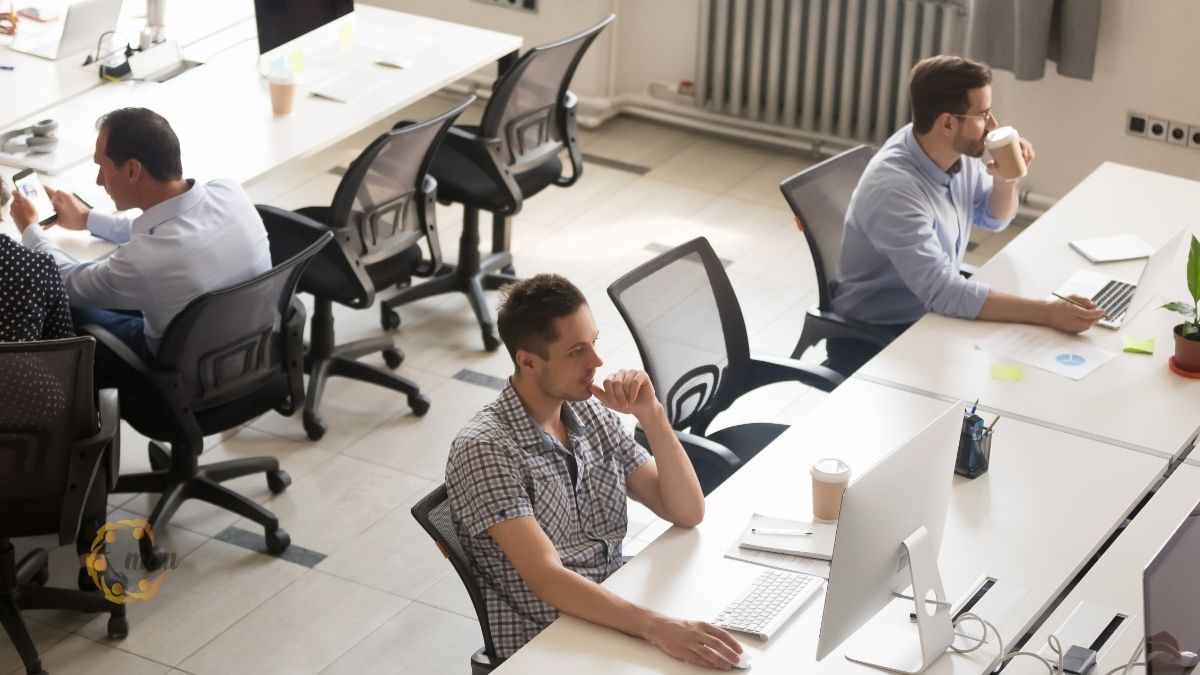 Khái niệm sự khác biệt giữa kiểm toán và soát xét báo cáo tài chính năm 2026