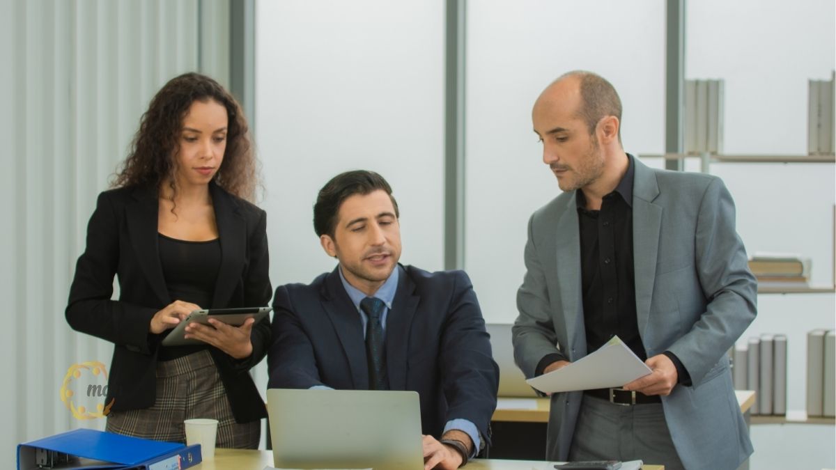 Đối tượng bắt buộc phải kiểm toán báo cáo tài chính theo luật kiểm toán độc lập mới nhất