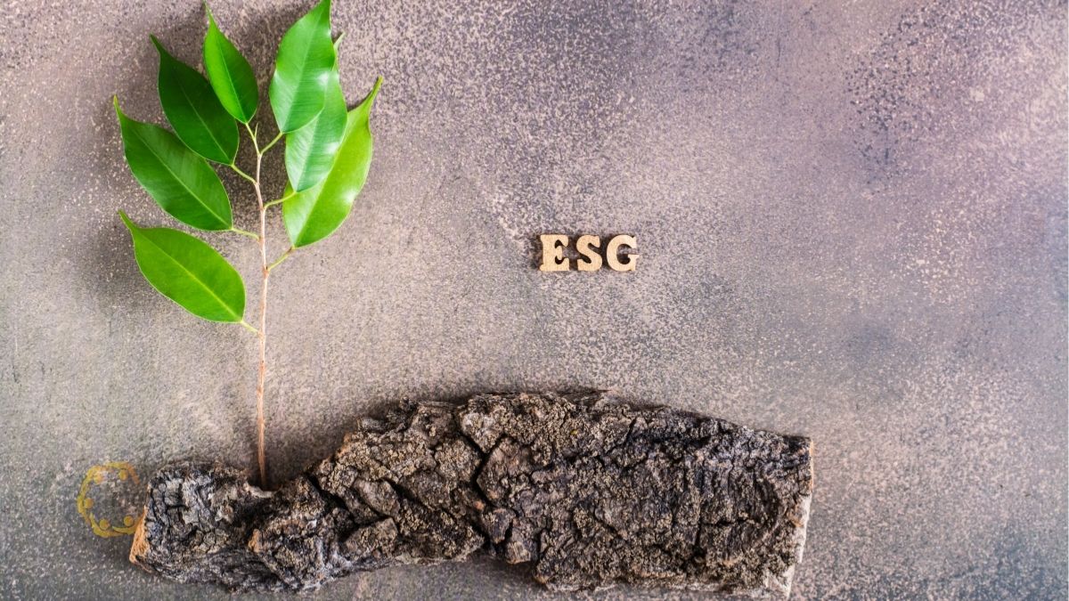 Kiểm toán môi trường là gì và tại sao doanh nghiệp cần thực hiện