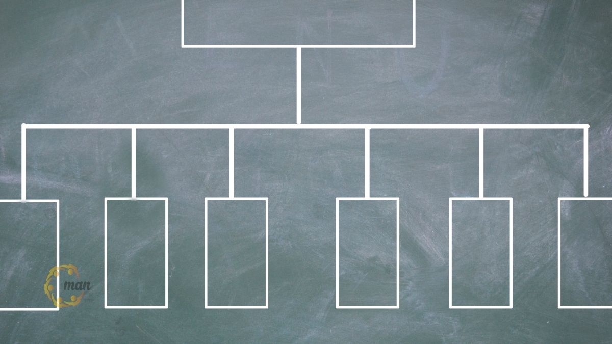 Các loại ý kiến trong cách đọc hiểu báo cáo kiểm toán tài chính