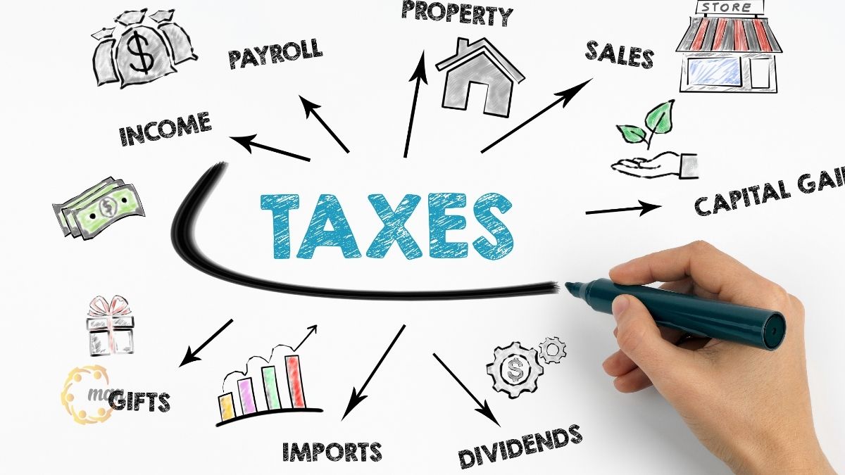 Nhân viên kế toán đang thực hiện lập báo cáo tài chính theo hướng dẫn chính sách thuế mới 2026