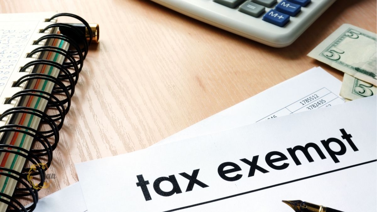 Nghị định số 90/2025/NĐ-CP: Doanh nghiệp có chi nhánh có bắt buộc kiểm toán BCTC?