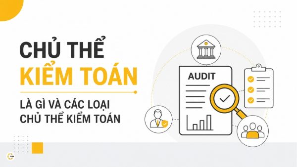 Chủ thể kiểm toán là gì và các loại chủ thể kiểm toán
