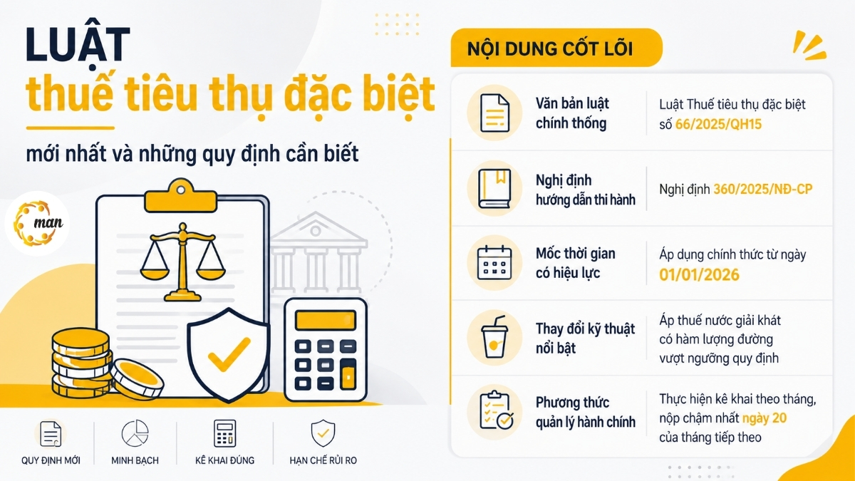 Luật thuế tiêu thụ đặc biệt là gì