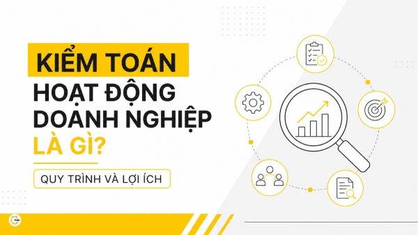 Kiểm toán hoạt động doanh nghiệp