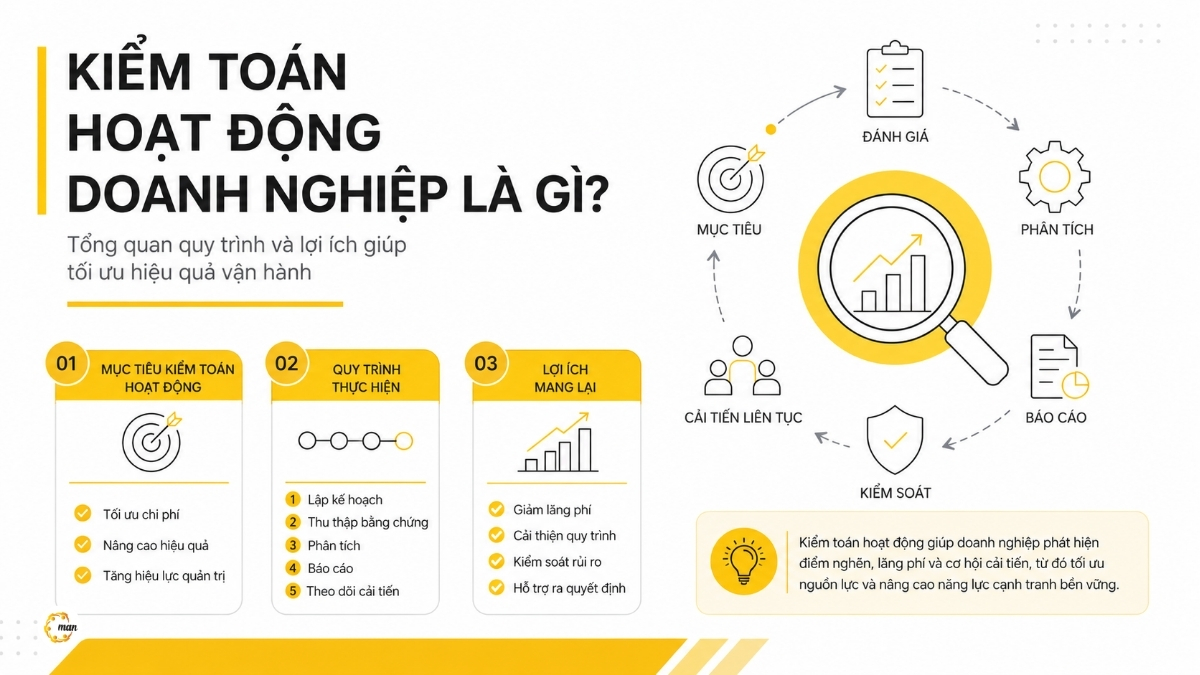 Kiểm toán hoạt động doanh nghiệp là gì_ Tổng quan quy trình và lợi ích giúp tối ưu hiệu quả vận hành