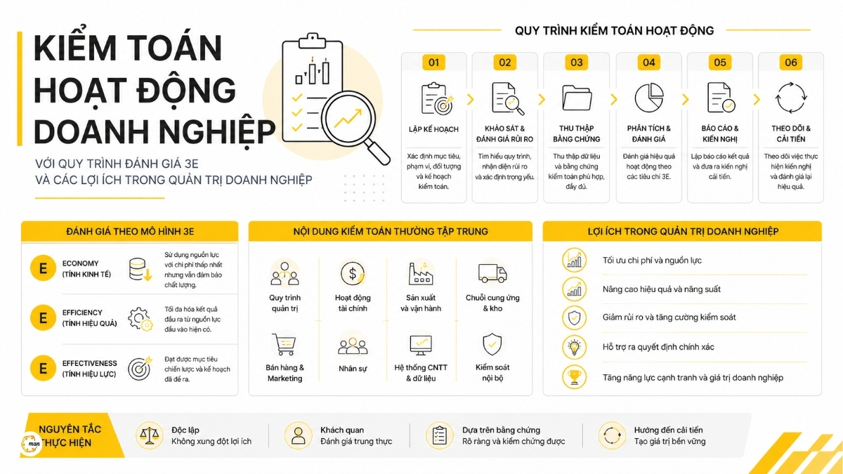 Kiểm toán hoạt động doanh nghiệp với quy trình đánh giá 3E và các lợi ích trong quản trị doanh nghiệp