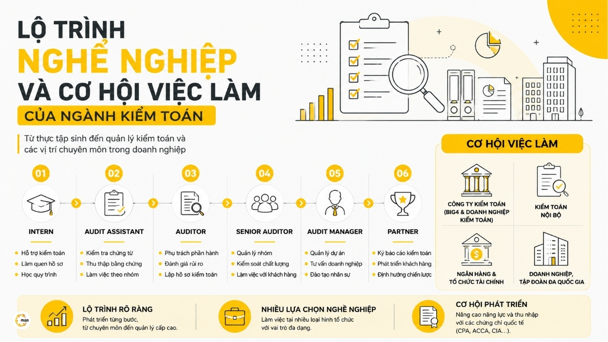 Lộ trình nghề nghiệp và cơ hội việc làm của ngành kiểm toán