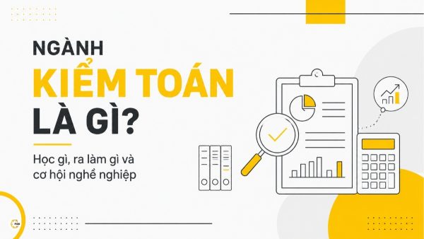 Ngành kiểm toán là gì